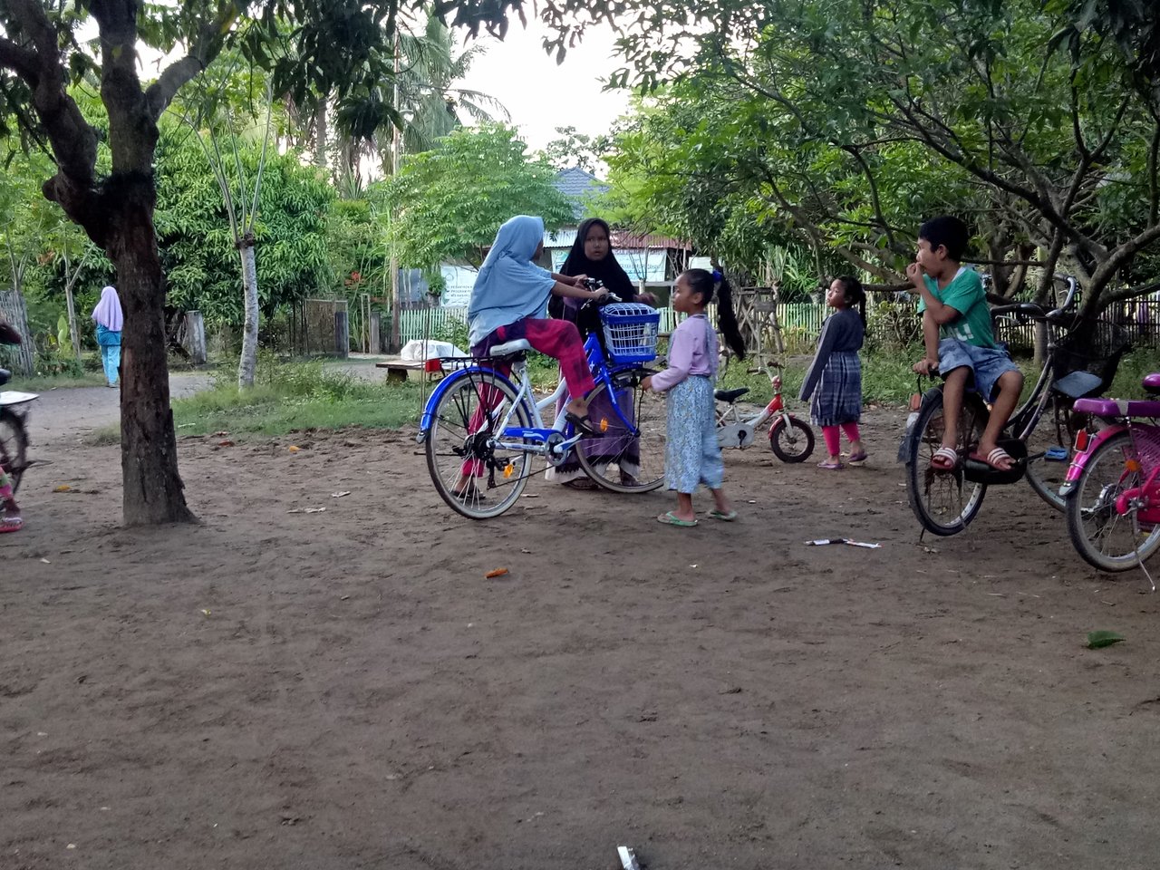 IMG20200211183116.jpg