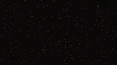 stm-style-text-3.gif