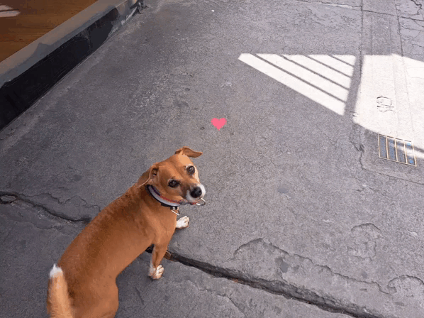 1000019380.gif