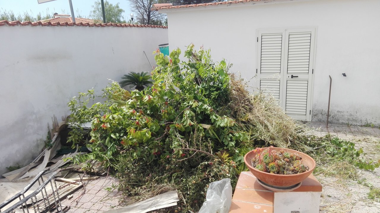 IMG_20190510_131401.jpg