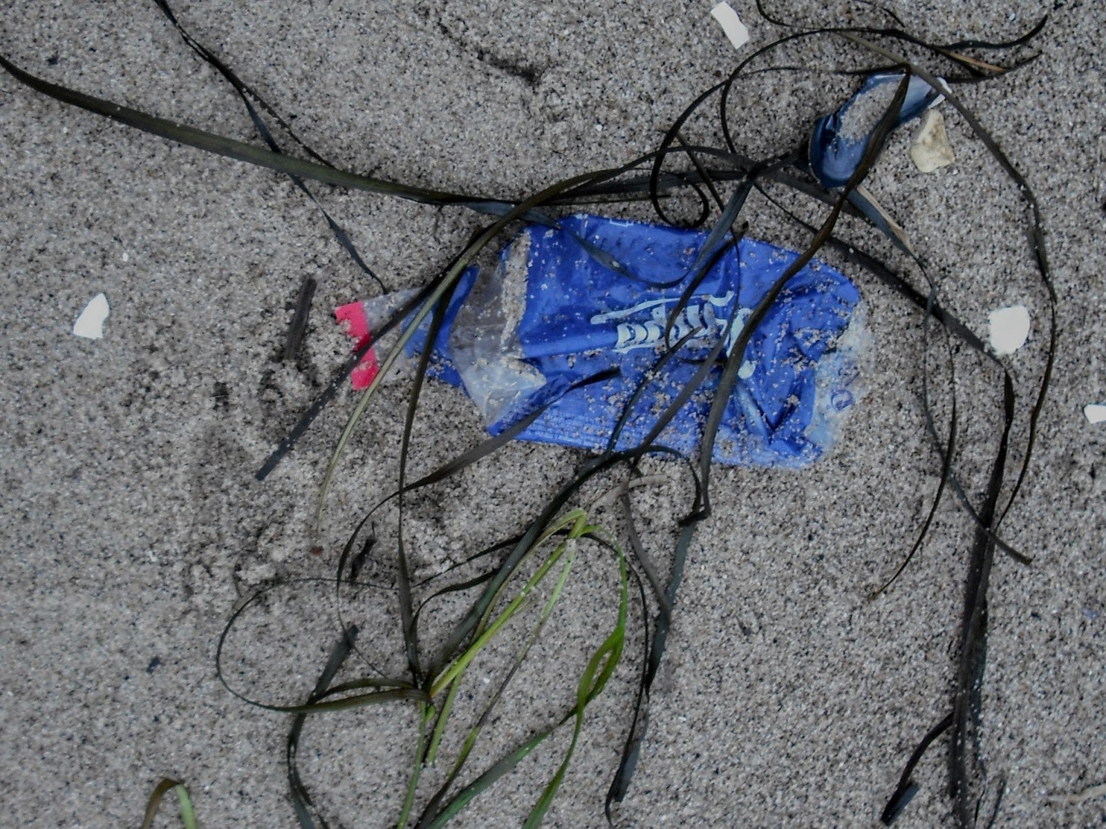 DSCF3251.JPG