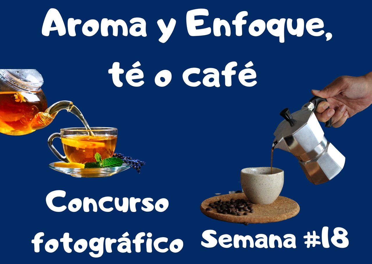 Concurso fotográfico semana #4 (1).jpg