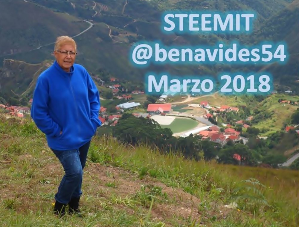 Fotos para steemit..jpg