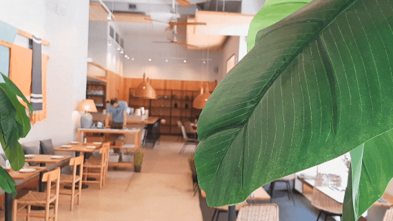 3.gif