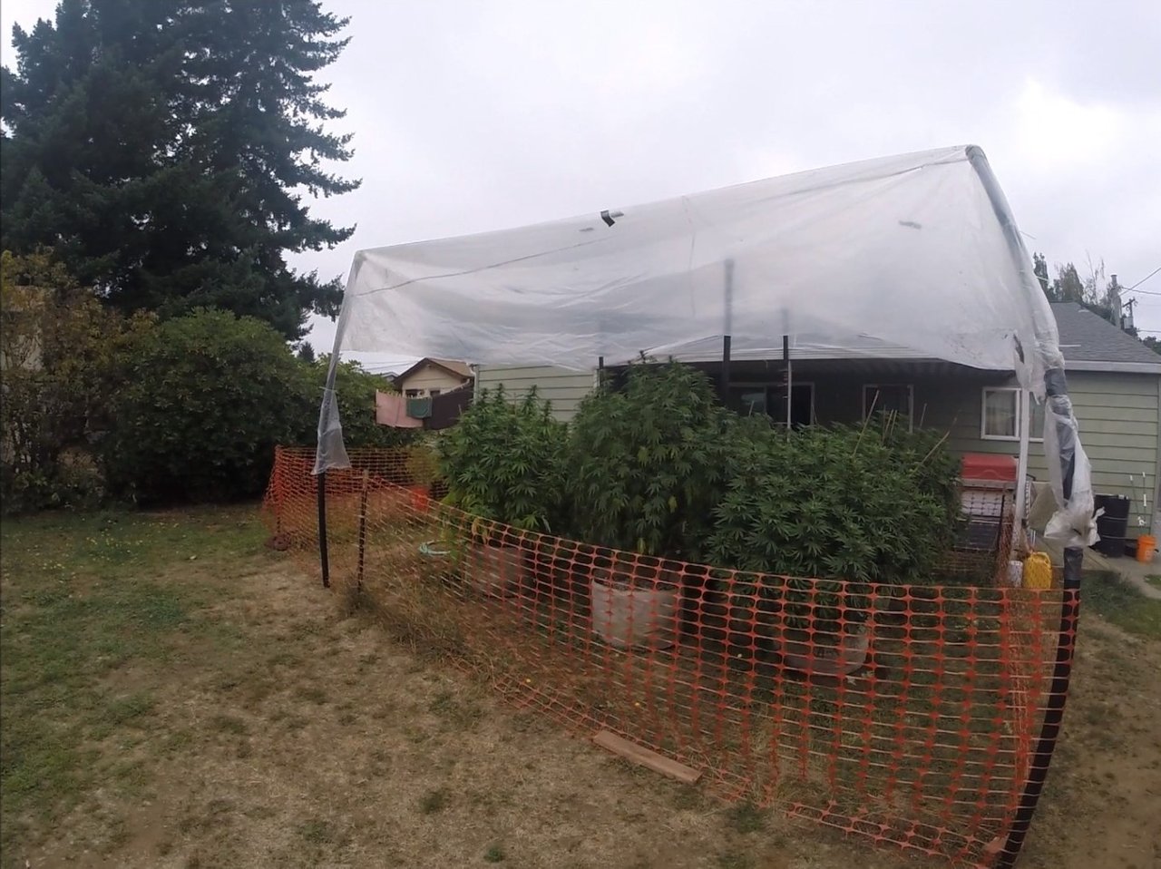 snap - 2019-09-16T101044.372.jpg