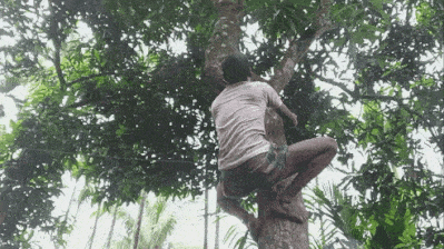GIF_20250623_220325_217.gif