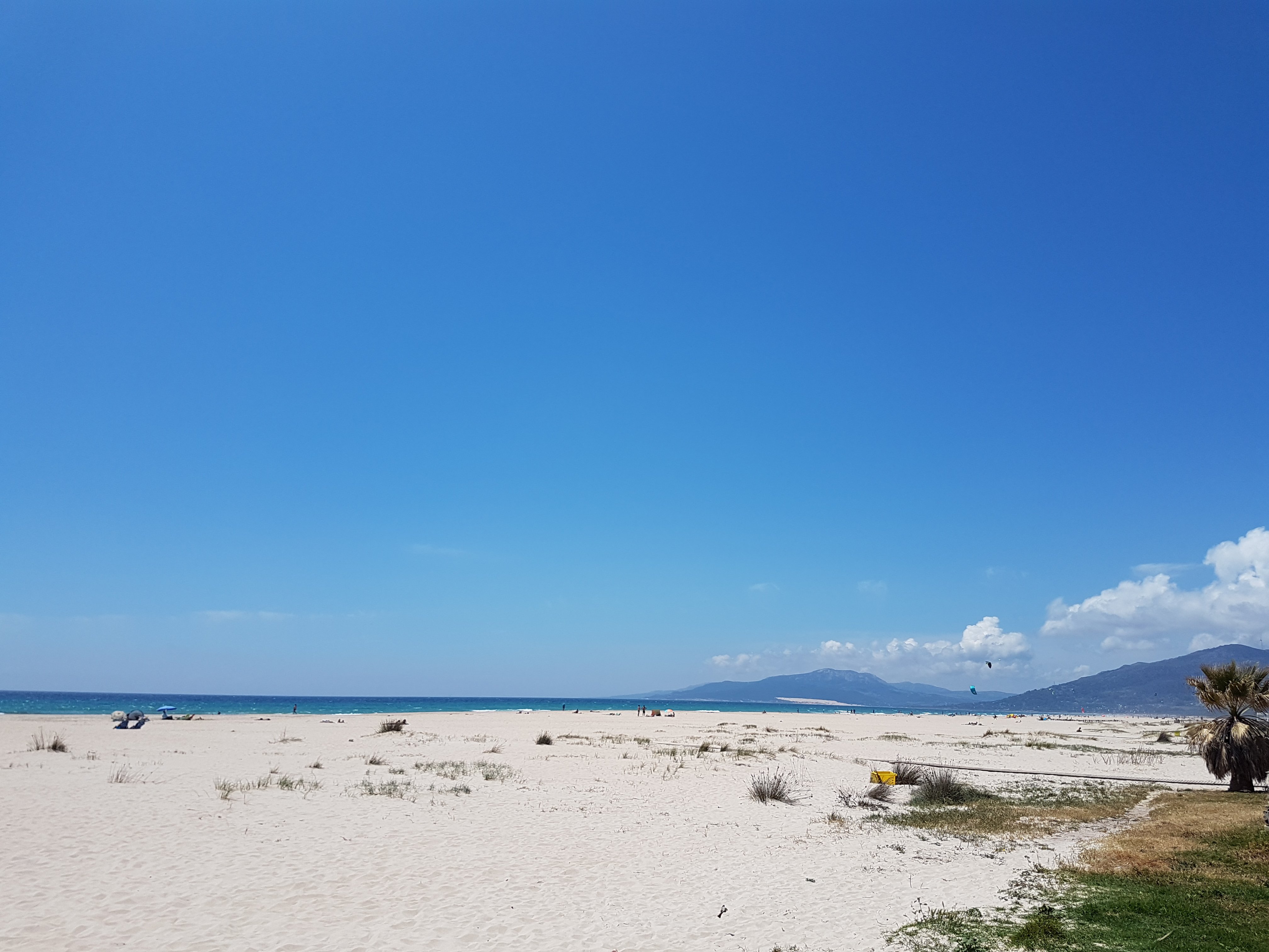 20180527_154541.jpg