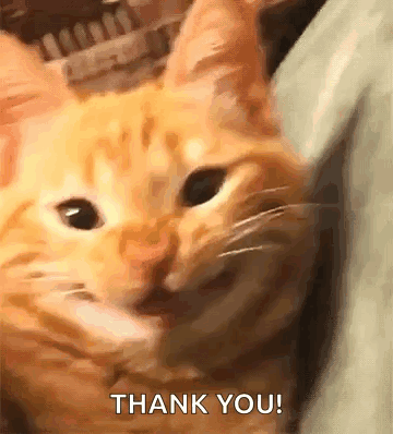 GrinningCatSmilingCatGIF.gif