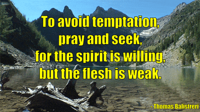 Pray and Seek (small size).gif