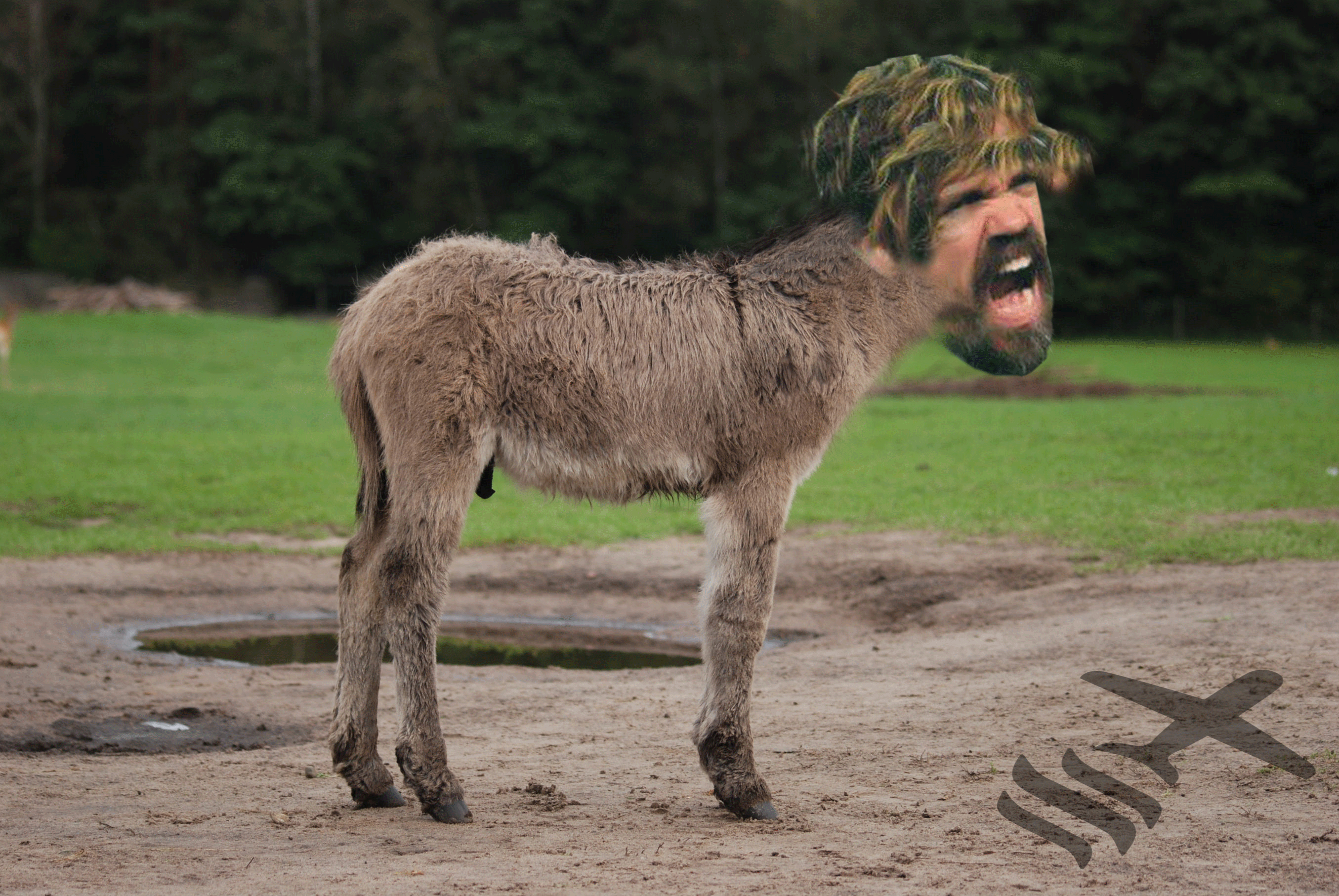 dimimp-the-donkey-2.gif