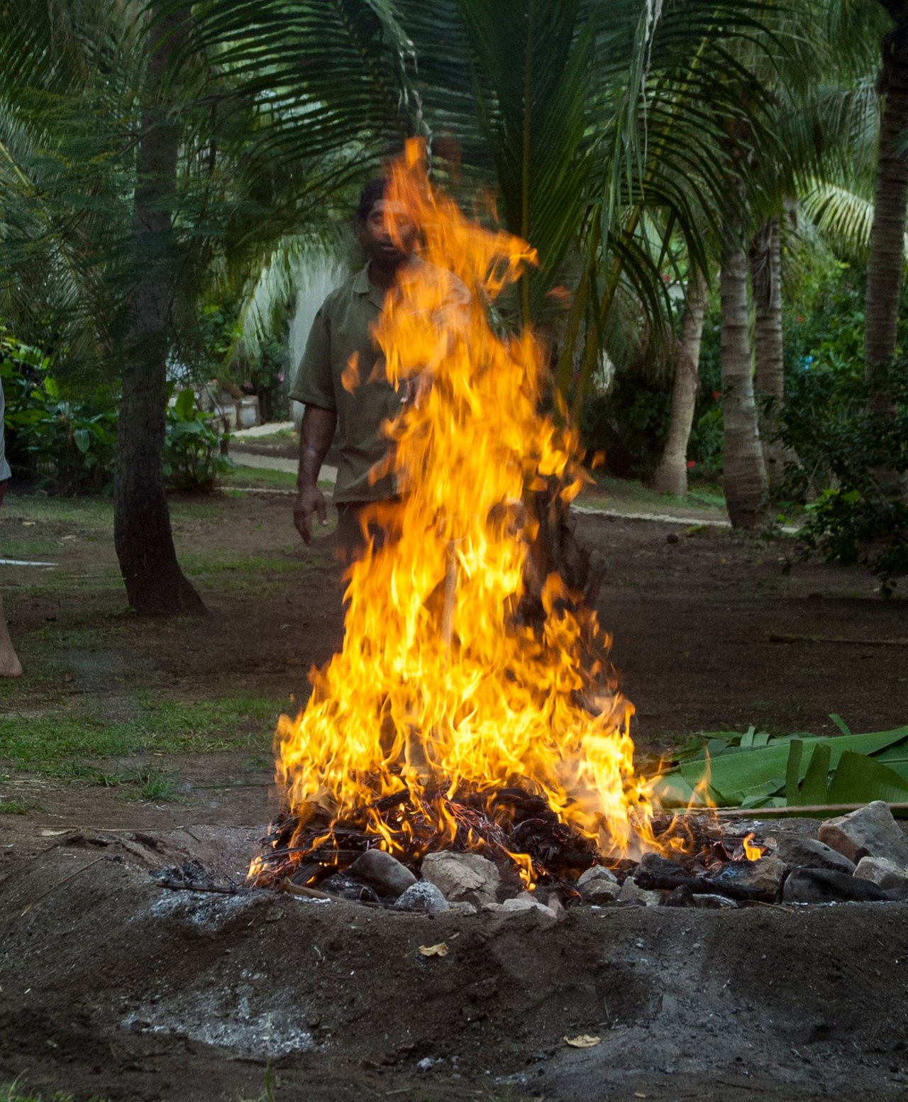 Cooking Fish The Fijian Way