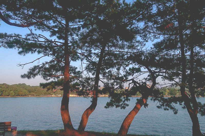 KakaoTalk_Photo_2018-09-07-19-21-02_7.jpg