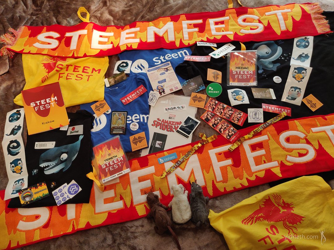 Image result for steemfest roelandp clothes