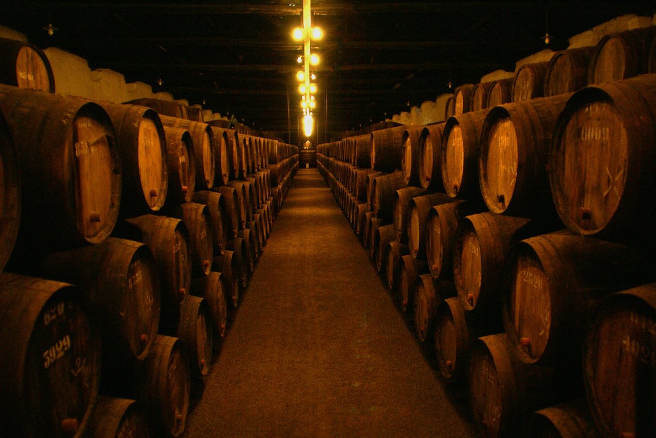 Wine_cellars_of_taylor´s.jpg