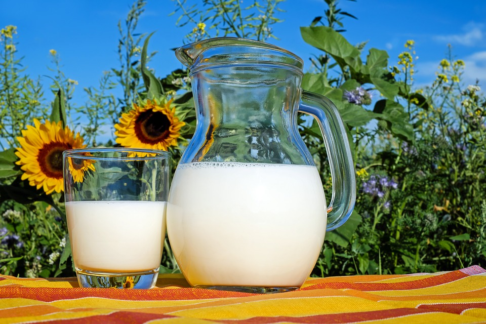 Probiotic Resistance; Everything Should Be Taken In Moderation