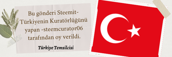 Bu gönderi Steemit-Türkiyenin Kuratörlüğünü yapan -steemcurator06 tarafından oy verildi. (1).png