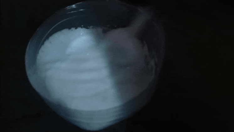 GIF_20250919_101818_926.gif