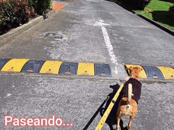 1000010244.gif