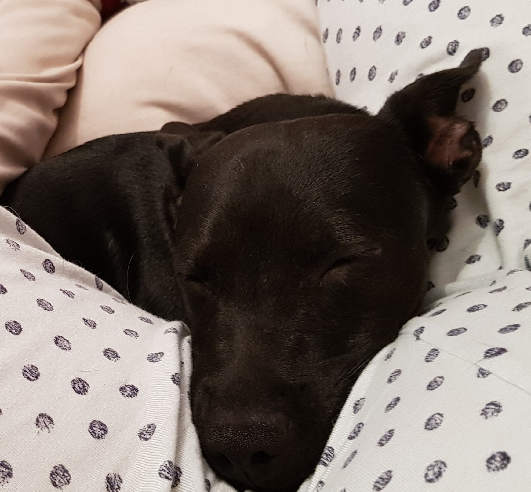20180829_232851.jpg
