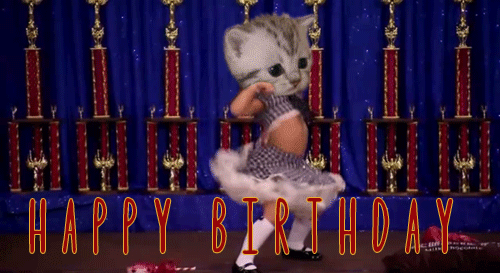 funny-girl-cat-dance-happy-birthday-gif.gif
