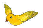 pajaro-y-ave-imagen-animada-0577.gif