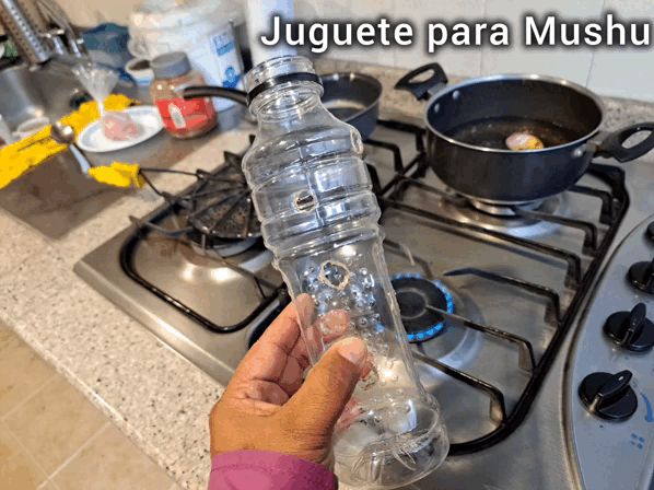 1000011404.gif
