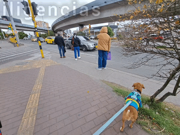 1000012145.gif