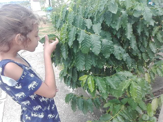 PHOTO_20210909_113213.jpg