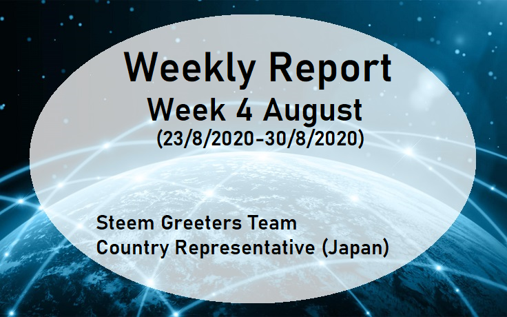 report week4august.png