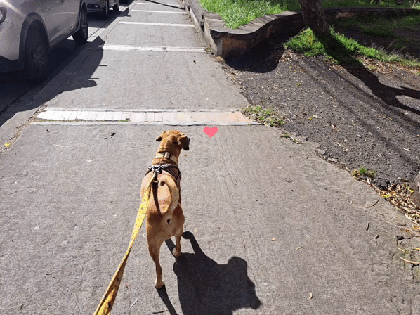 1000017326.gif