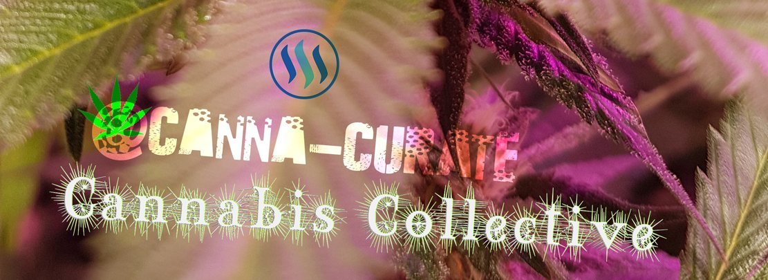 canna-curate-banner.jpg