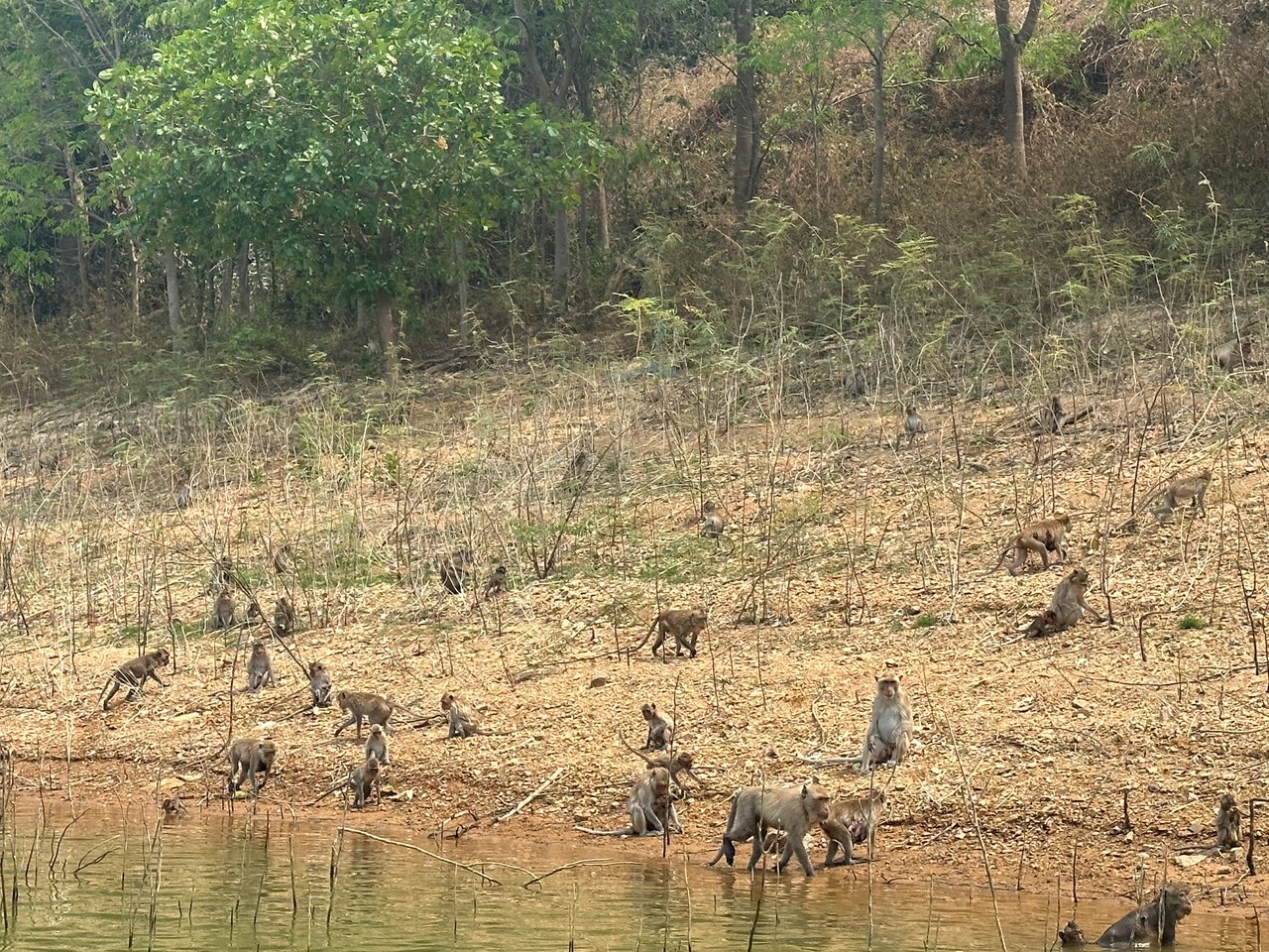 Kaeng Krachan4.jpg