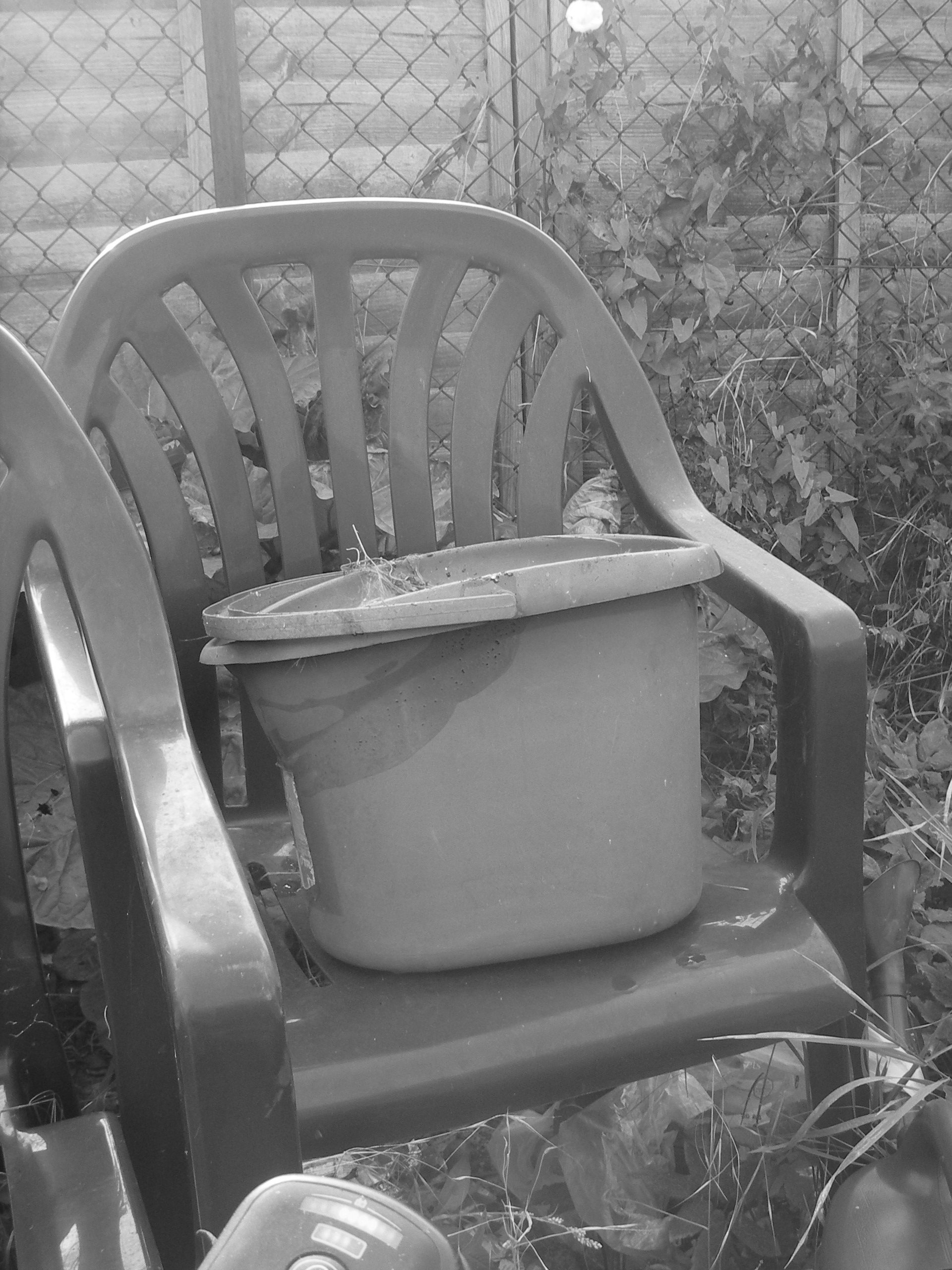 bucket greyscale.jpg