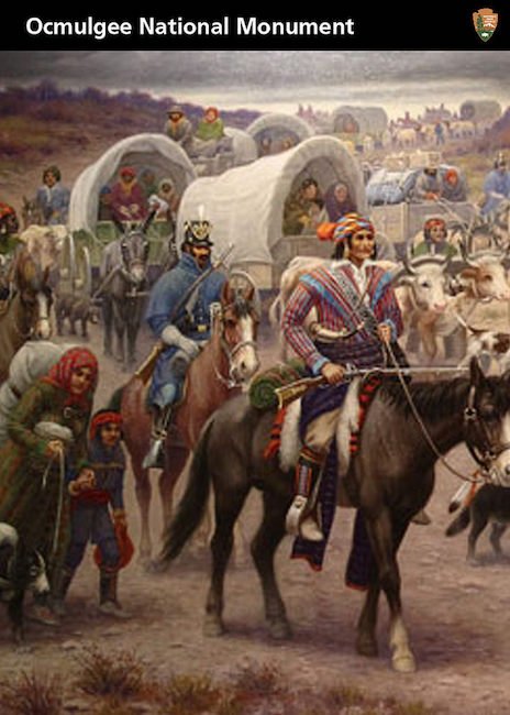 7222969326_e804cb1de6_b.jpg