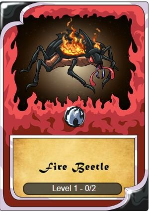 fire beetle.JPG