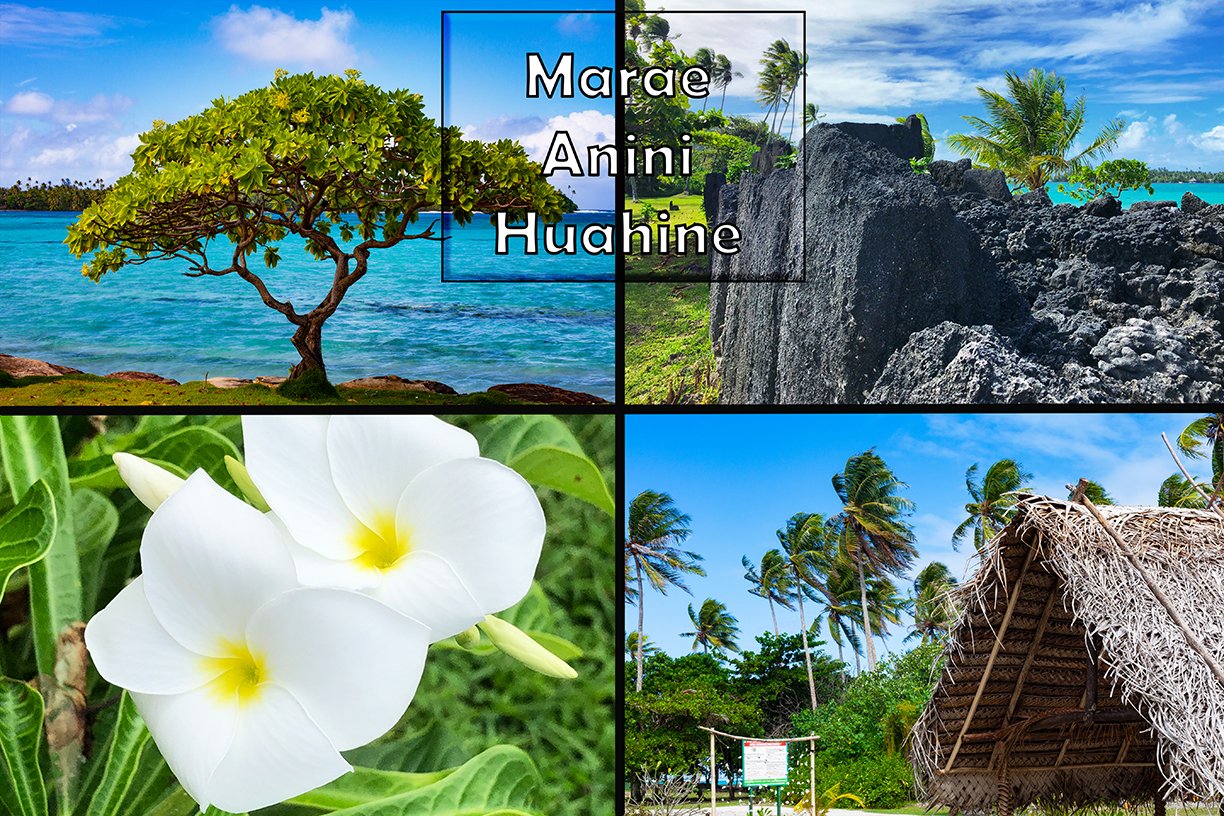 marae anini collage.jpg