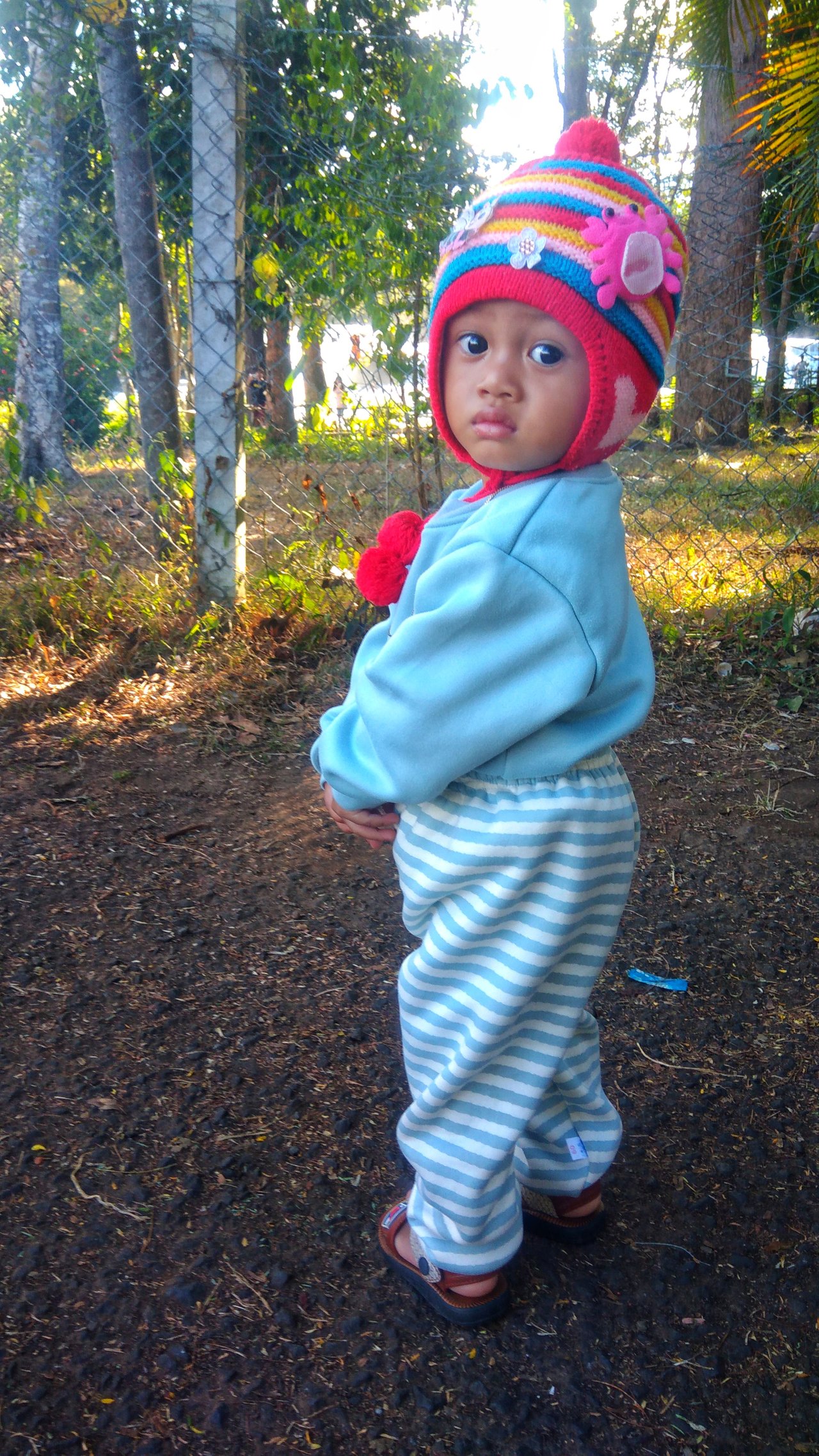 P_20181216_150229-01.jpeg