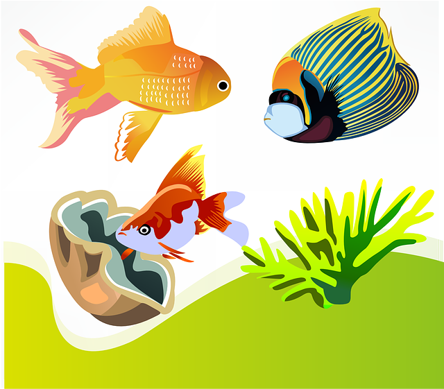 fish-155279_640.png