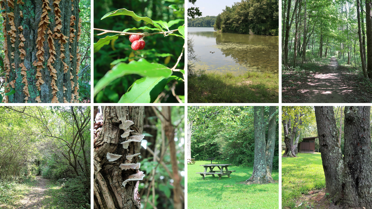 Lieber State Recreation Area at Cagles Mill Lake (17).png