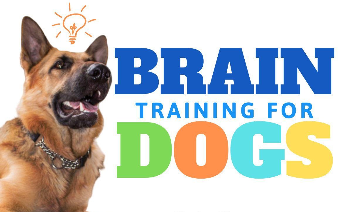 brain-training-for-dogs-review~2.jpg