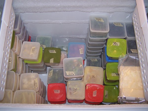 Freezer inventory2 crop June 2018.jpg