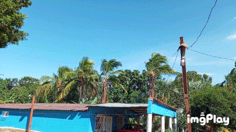 1000011504.gif