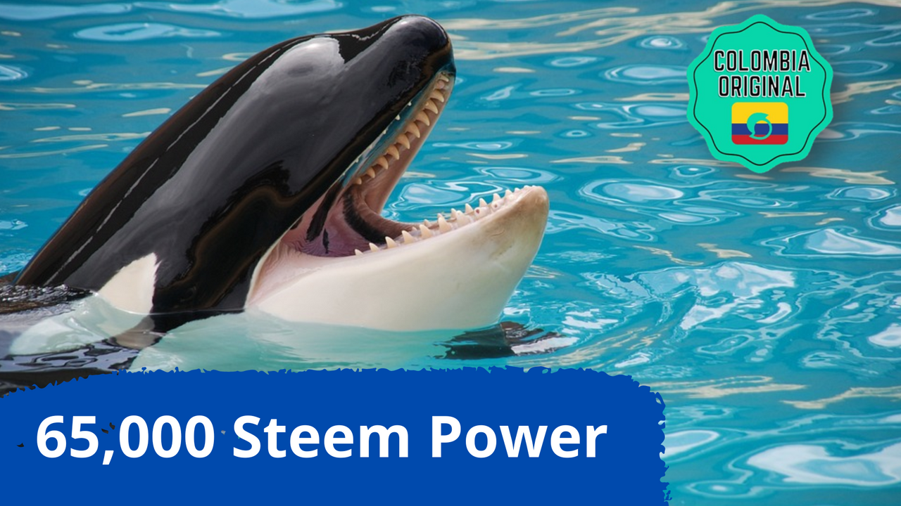 65,000 Steem Power.png