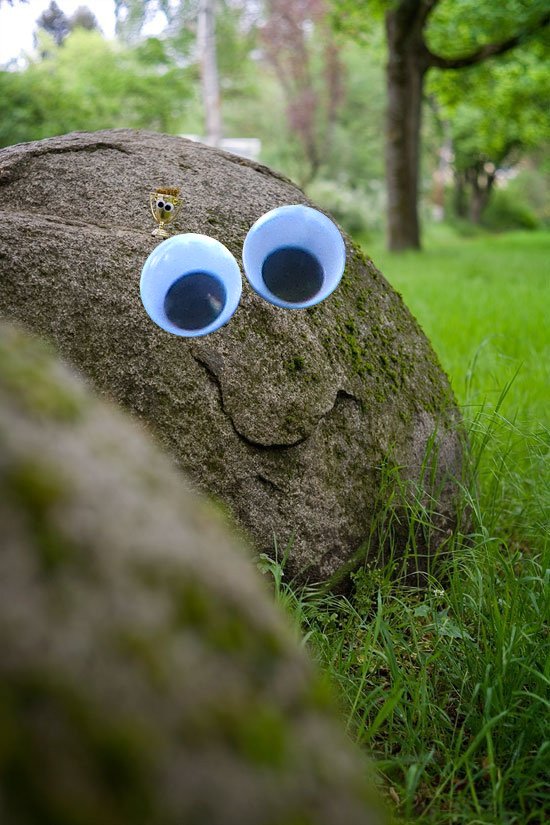 googlyfraenk1.jpeg
