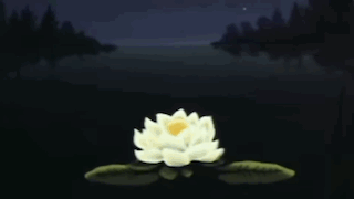 7FB32E34-0CB3-4FF7-B53D-2F4F7ECD5C8B.gif