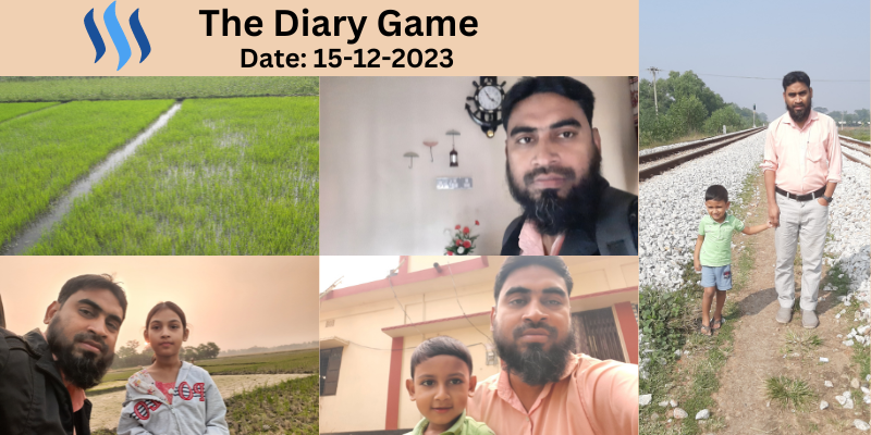 The Diary Game (12).png