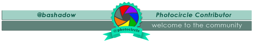 my photocircle banner mdified.png