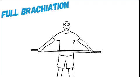 shoulder-staff-full-brachiation.gif