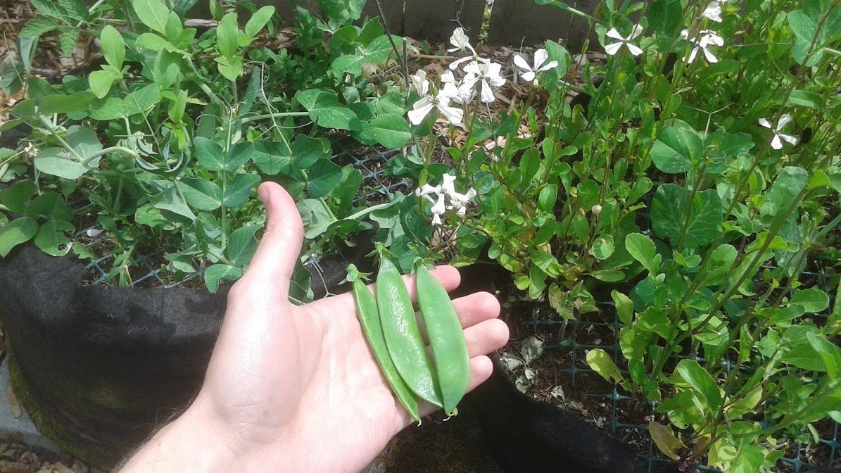 20180607_124445.jpg
