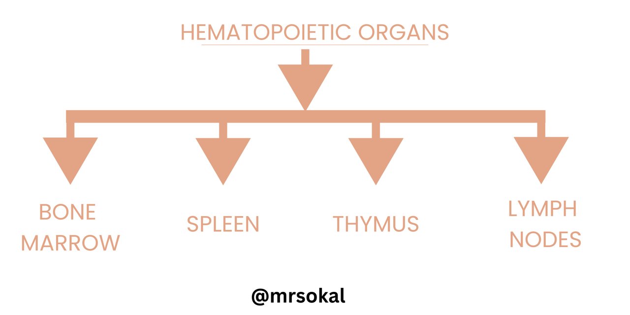 SEC S20W1   Hematopoiesis - Module 1 (1).jpg